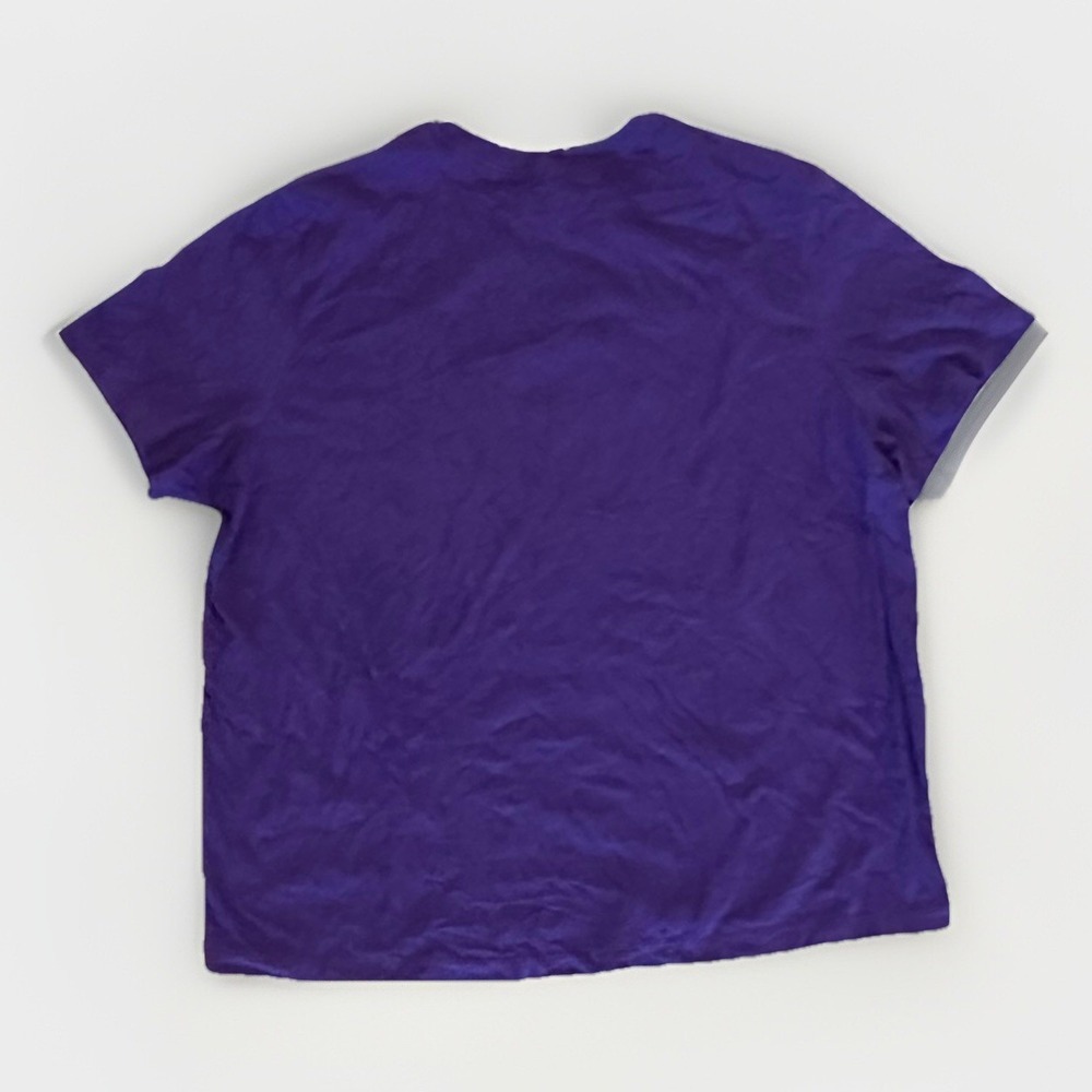 Tampa Bay Devil Rays Nike Logo T-Shirt, Purple, 3XL - Picture 6 of 7